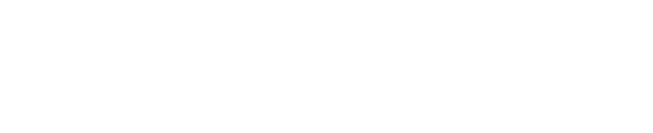 softweb GROUP